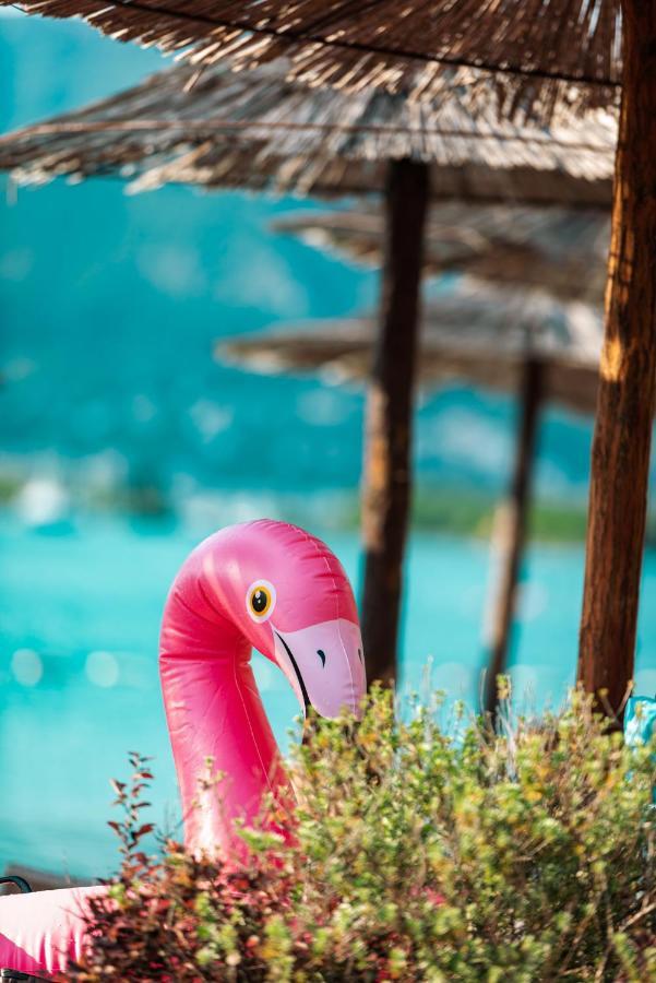 Aquata Apartments Tivat Zewnętrze zdjęcie